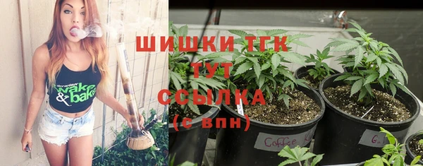твердый Алзамай